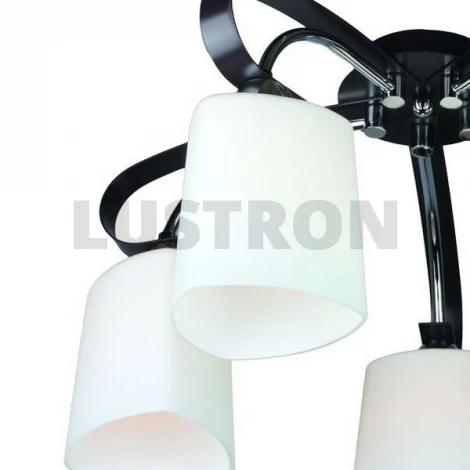 Потолочная люстра Omnilux OML-280 OML-28007-05