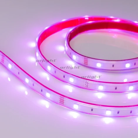 Светодиодная лента Arlight RTW 2-5000P 014964