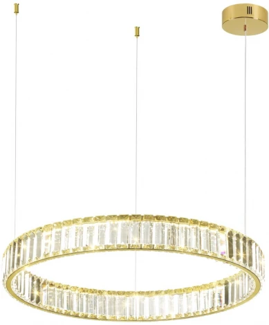 Подвесной светильник Vekia 5015/36L (LED, 220V, на тросе, кольцо)