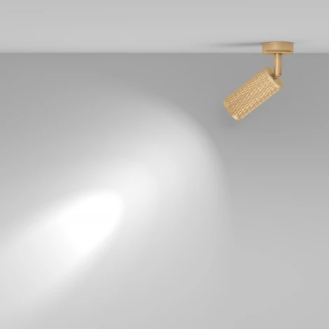 Потолочный светильник Focus Design GU10 1x50Вт Maytoni Technical C034CL-01G (220V, круглые)
