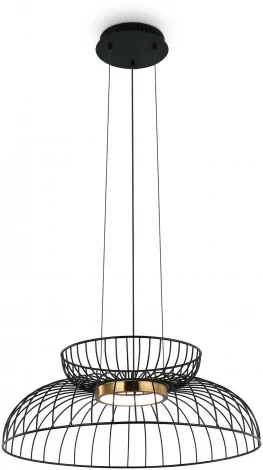 Подвесной светильник Freya Citrus FR5398PL-L6B (LED, 220V, на тросе)