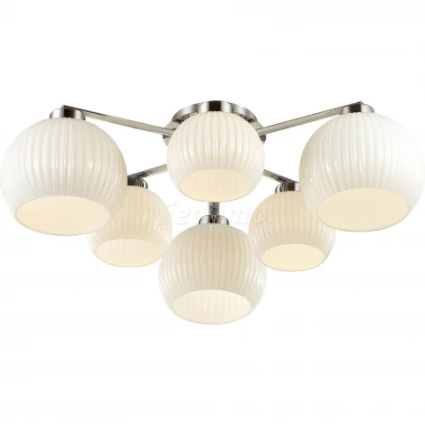 Потолочная люстра Odeon Light Micca 3971/6C