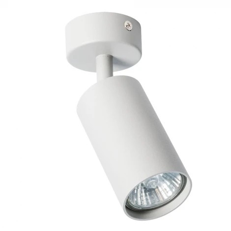 Спот Arte Lamp Aquarius A3216PL-1GY (220V, круглые)