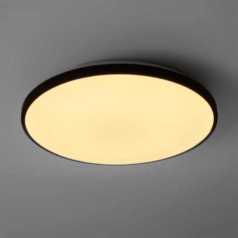 Потолочный светильник светодиодный Freya Obelle FR6211CL-L24B 24Вт LED