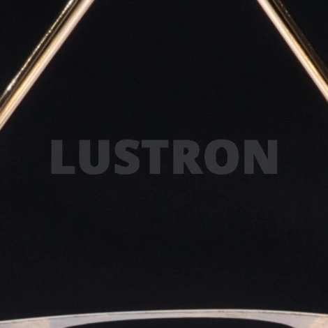 Потолочная люстра Maytoni Eurosize 7 TOC007-08-G