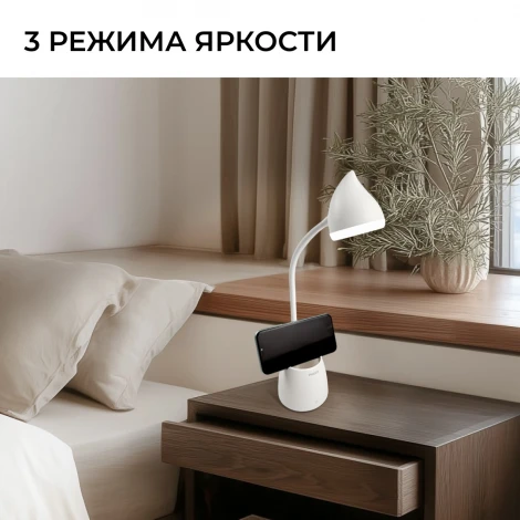 Настольная лампа Hat DSK213 PT 4.5W 40K W USB 02 Philips 929003241007