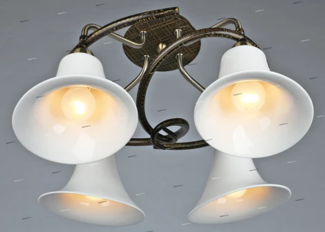 Omnilux 255 OML-25507-04