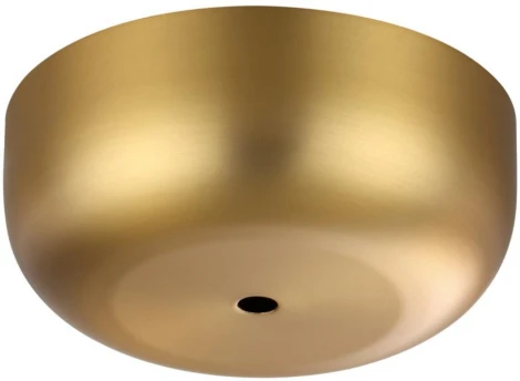 Подвесной светильник с гибким неоном Odeon Light Corda 4399/40CL (LED, 220V)