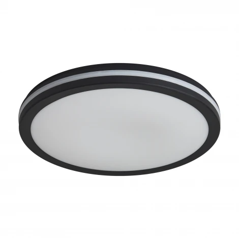 Потолочный светильник светодиодный Freya Rua FR6160CL-L40B 40Вт LED