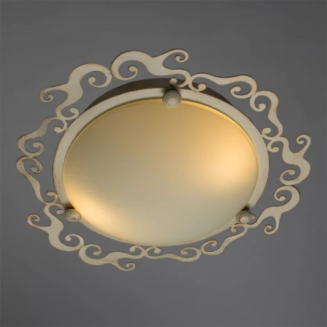 Потолочный светильник Arte Lamp Riccioli A1060PL-2WG