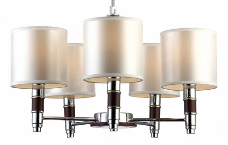 Подвесная люстра Arte Lamp Circolo A9519LM-5BR