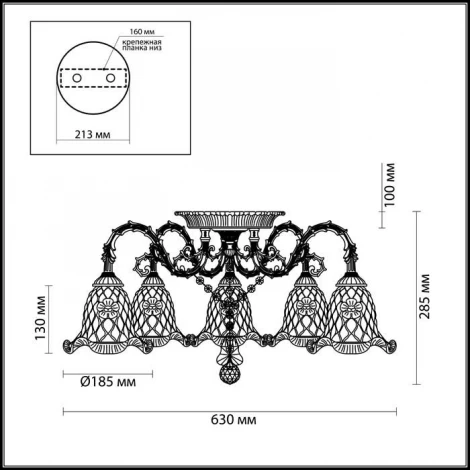 Потолочная люстра Odeon Light TENERA 2885/5C