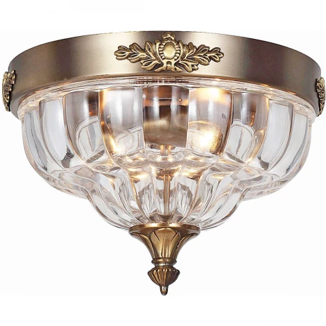 Потолочный светильник Favourite Amely 1306-2C