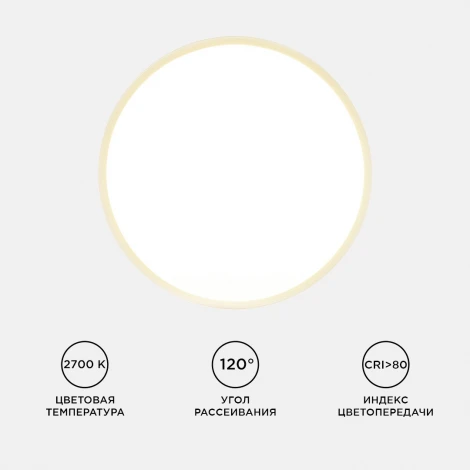 Потолочный светильник светодиодный круглый 220В 24Вт 1920лм изолированный драйвер 2700К Apeyron 06-41