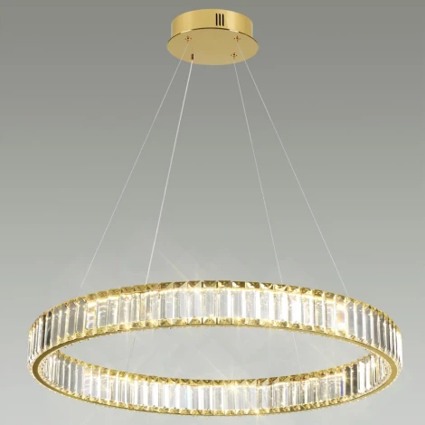 Подвесной светильник Vekia 5015/45L (LED, 220V, на тросе, кольцо)