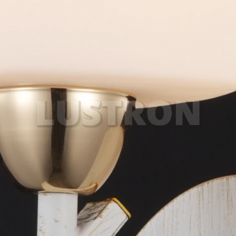 Бра Maytoni Eurosize 6 TOC006-01-G