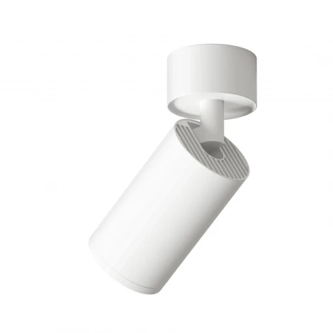 Накладной точечный светильник Denkirs DK2029-WH (LED, 220V, круглые)