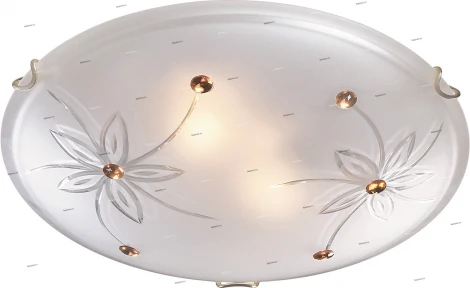 Настенно-потолочный светильник Sonex Floret 149/K