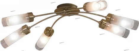 Потолочная люстра Citilux Ovale CL102162