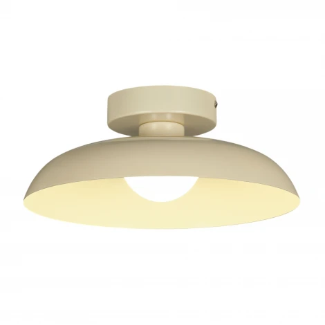 Потолочный светодиодный светильник MyFar Бьорн MR2674-1CL