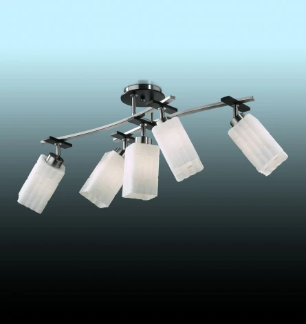Потолочная люстра Odeon Light Nuki 2283/5C