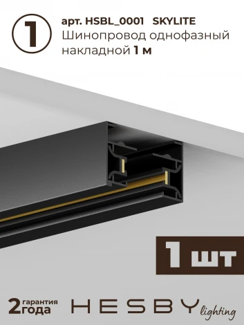 Трековая система в сборе накладная однофазная 220V Hesby Lighting №1 однофазная накладная Skylite HSBL_kompl_S001_NI1B3K
