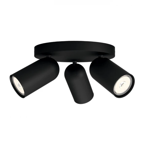 Спот Pongee plate/spiral black Philips 915005531301