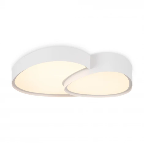 Потолочный светильник светодиодный Freya Modesty FR6079CL-L72W