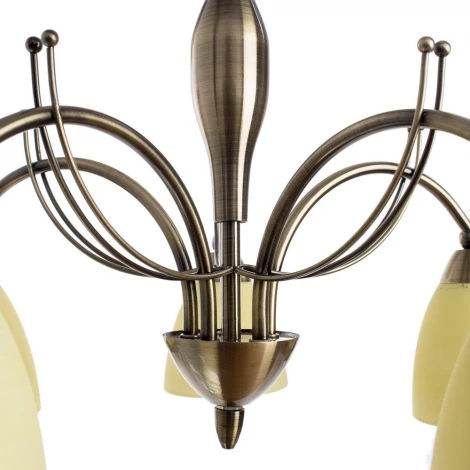 Подвесная люстра Arte Lamp Panna A8612LM-5AB