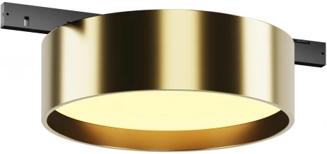 Трековый светильник магнитный 12W 24V Maytoni Zon TR189-1-12W2.7K-BBS (LED, круглые)