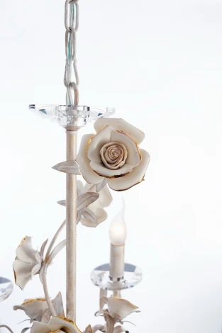 Подвесная люстра Arte Lamp Estimate A2036LM-5WG