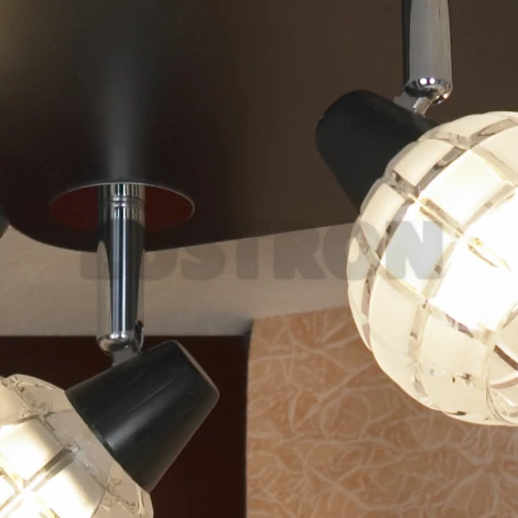 Потолочный светильник Lussole Silandro LSL-8601-04