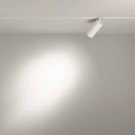 Трековый светильник Focus Led Exility 4000K 5Вт 24° (магнитный) Maytoni Technical TR032-2-5W4K-S-W (48V)