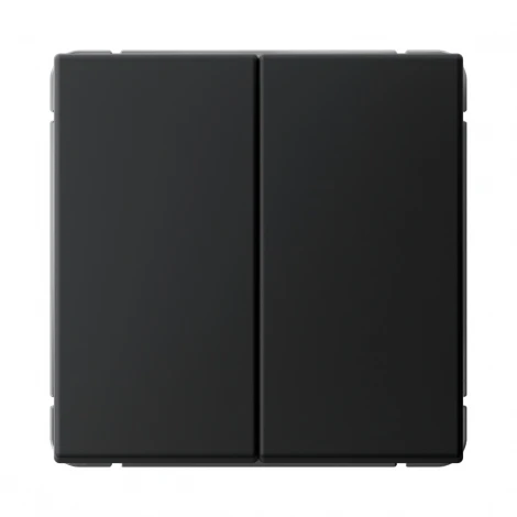 Выключатель двухклавишный (карбон) Systeme Electric GAL001051S