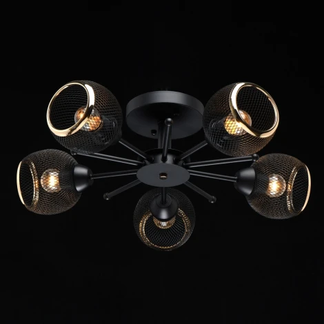 Потолочная люстра MW-Light Вита 220012005