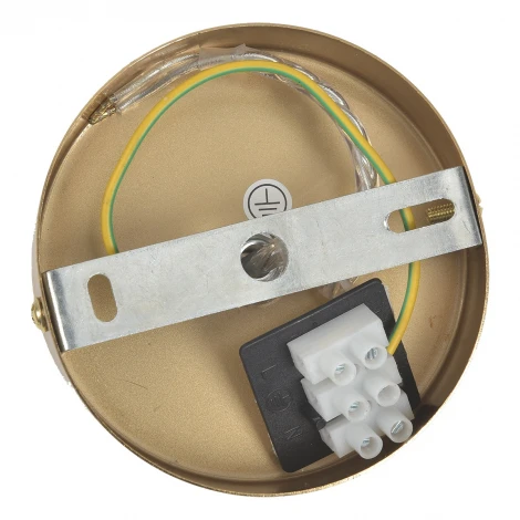 Подвесной светильник Lumion Dea 8439/1B латунь/прозрачный металл/стекло E14 1*40W 220V