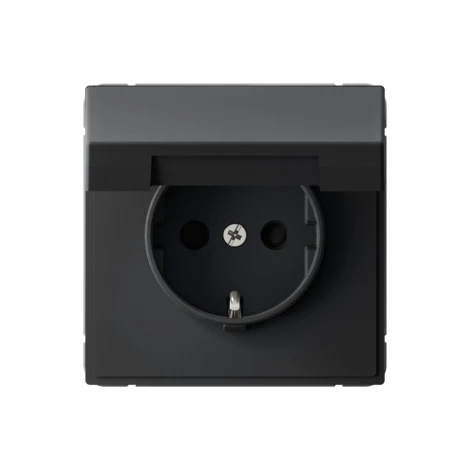 Розетка с заземлением, шторками и крышкой (карбон) Systeme Electric GAL001046S