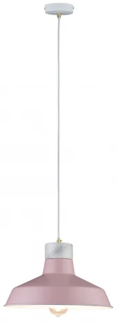 Подвесной светильник Paulmann Disa 79610