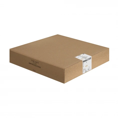 Подвесной светильник Freya Michelle FR5519PL-L34CH 73Вт LED