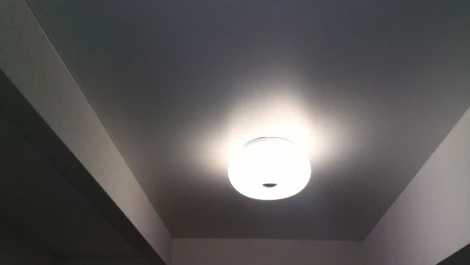 Потолочный светильник Odeon Light Pati 2205/2C