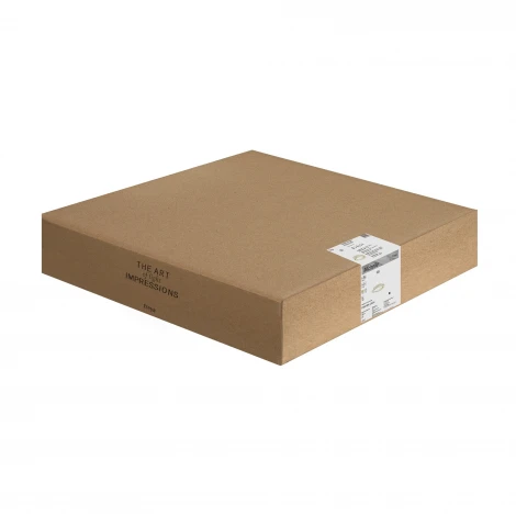 Подвесной светильник Freya Michelle FR5519PL-L50CH 50Вт LED