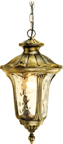 Уличный светильник подвесной ЭРА GBS-106-BR-0800