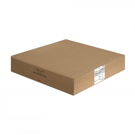 Потолочный светильник светодиодный Freya Puzzle FR6093CL-L48W