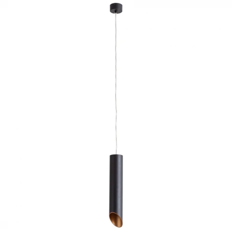 Подвесной светильник Arte Lamp Pilon-gold A1536SP-1BK (220V, на проводе, круглые)