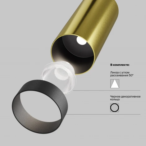 Встраиваемый светильник Maytoni Focus Led C053CL-L12W2.7K-W-BS (220V, круглые)