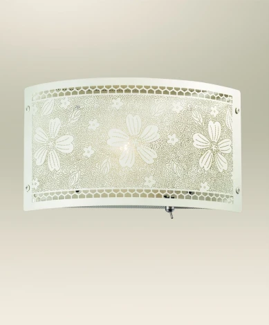 Настенный светильник Odeon Light Apika 2422/1W