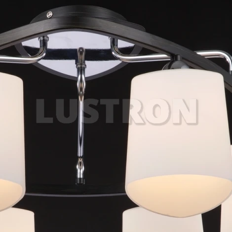 Потолочная люстра Maytoni Eurosize 6 TOC006-06-N