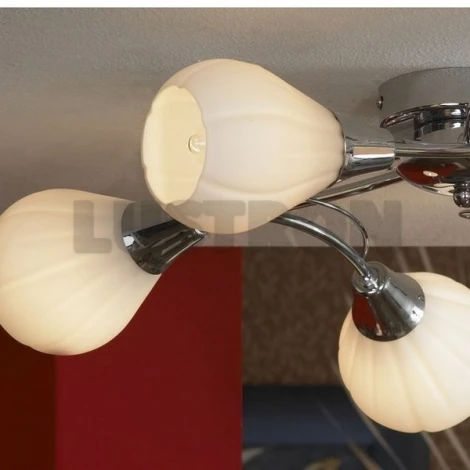 Потолочная люстра Lussole Abriola LSC-8303-05