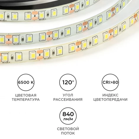 Светодиодная лента 12В 9,6Вт/м 840лм/м 6500К SMD2835 120д/м IP65 ширина подложки 8мм, 5м OGM LSE-261