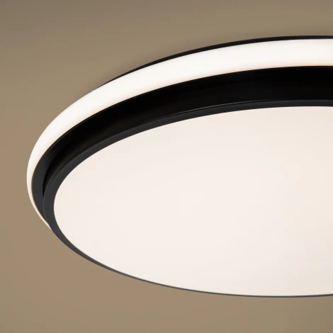 Потолочный светильник светодиодный Freya Pie FR6086CL-L117B 96Вт LED с пультом ДУ